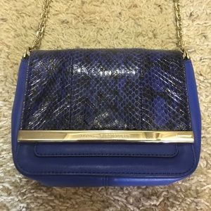 Blue Dianne Von Furstenburg Crossbody!